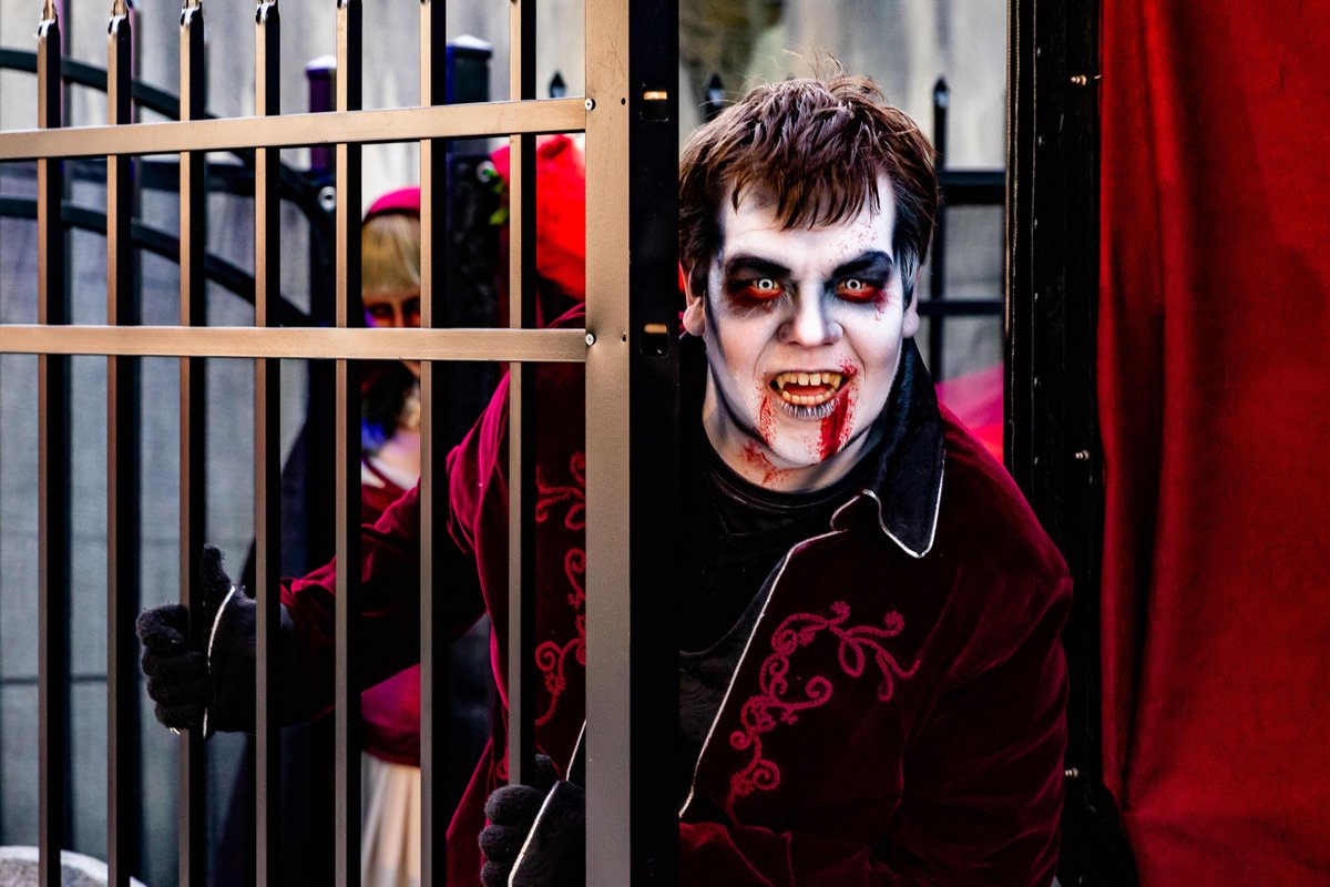 Oak Island Creative tweet media