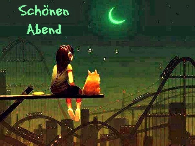 ⭐️✨Ich wünsche euch Lieben einen schönen Abend
verlieren wir unsere Träume nie