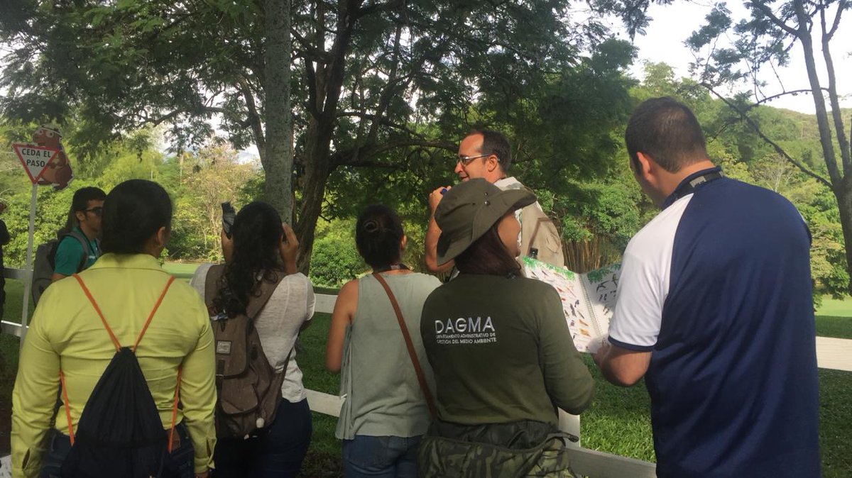DagmaOficial's tweet photo. ☀️Hermosa mañana de avistamiento de aves en el #Club #Campestre dónde los azulejos, las cotorras y el sisiriri nos recordaron que somos la capital mundial de las #aves.🐦
¿Habrá más libertad que la de poder volar?
#CaliBio vuela alto junto al canto de nuestras aves. https://t.co/yXEOcDut0R