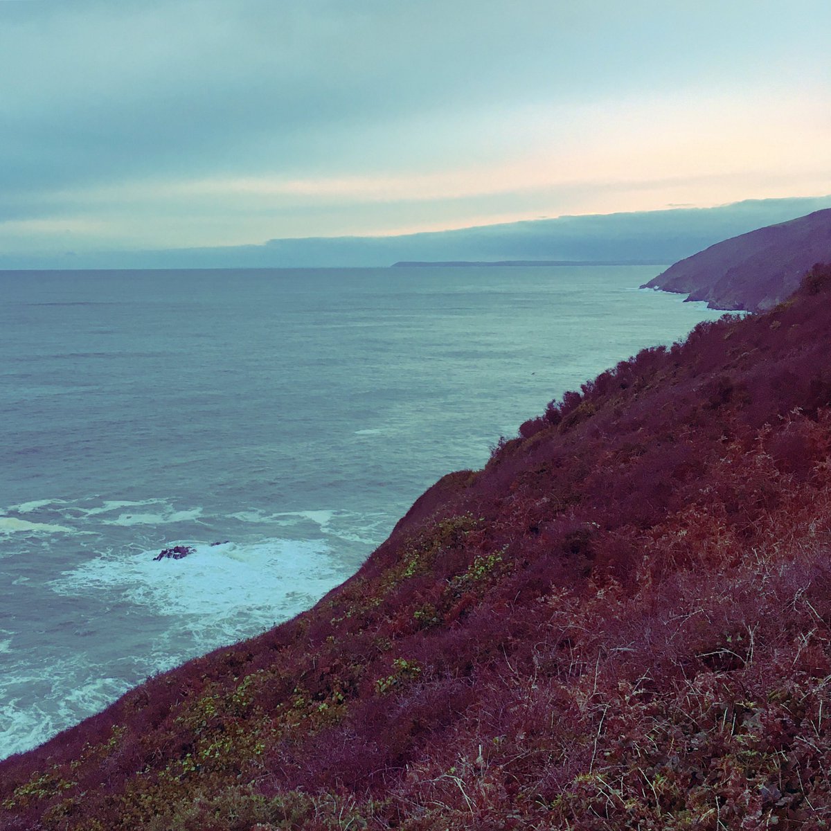 claireandethel's tweet photo. Wind and rain stopped play for most of the day but a break in the weather and we’re off! View from the Polperro - Talland coast path

#seascape #stormyweather #wildweather #cornwall #cornwallcoastline #southwestcoastpath #walkswithethel #autumn #autumnlight #talland #polperro https://t.co/gLz8gQbyPP