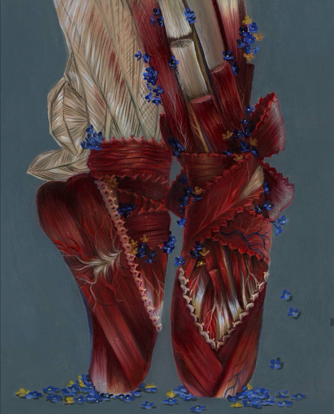 Anatomy artists Biology Diagrams