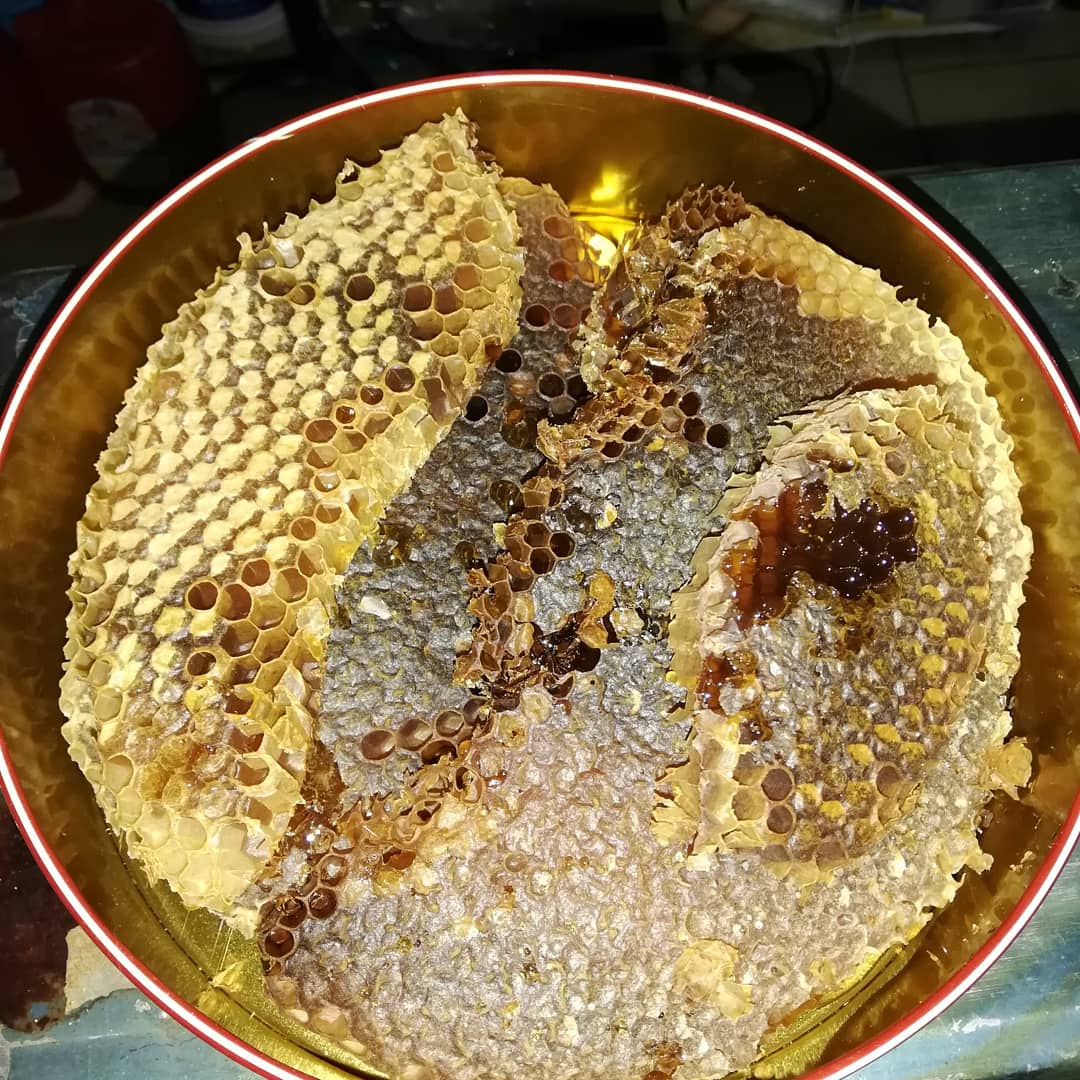 Hasan (@hasan53281582) on Twitter photo 