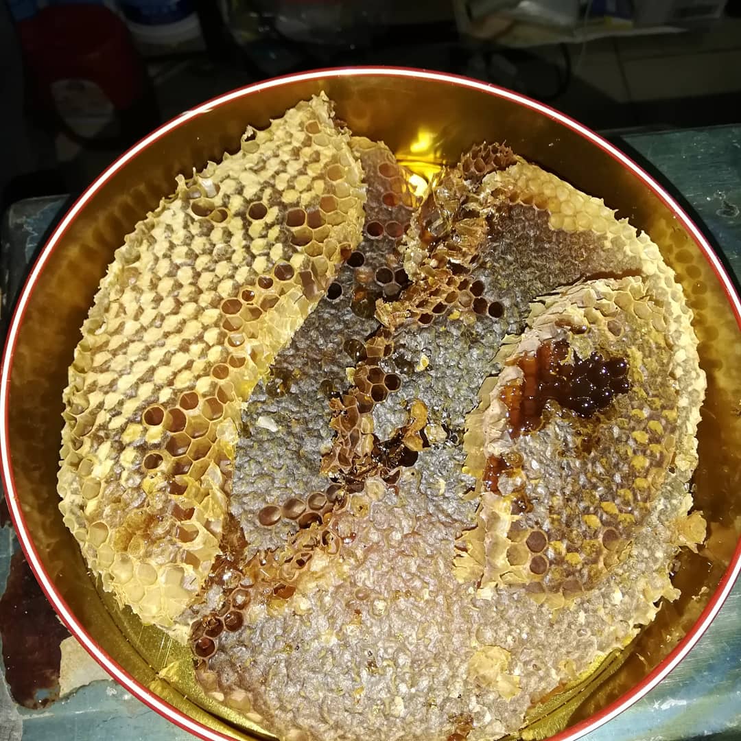 Hasan (@hasan53281582) on Twitter photo 