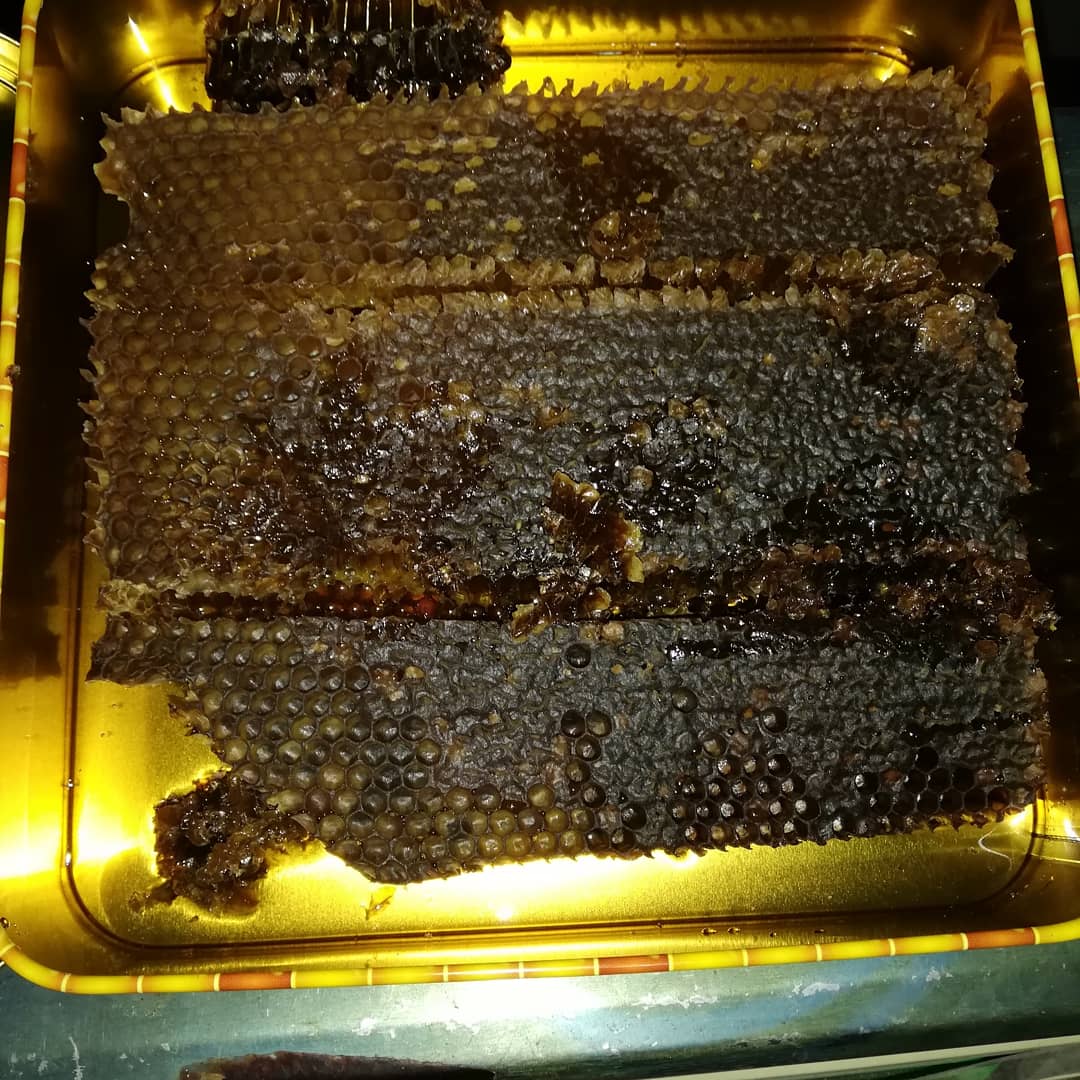 Hasan (@hasan53281582) on Twitter photo 