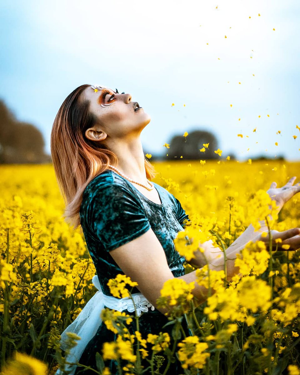 Creative Collective tweet media