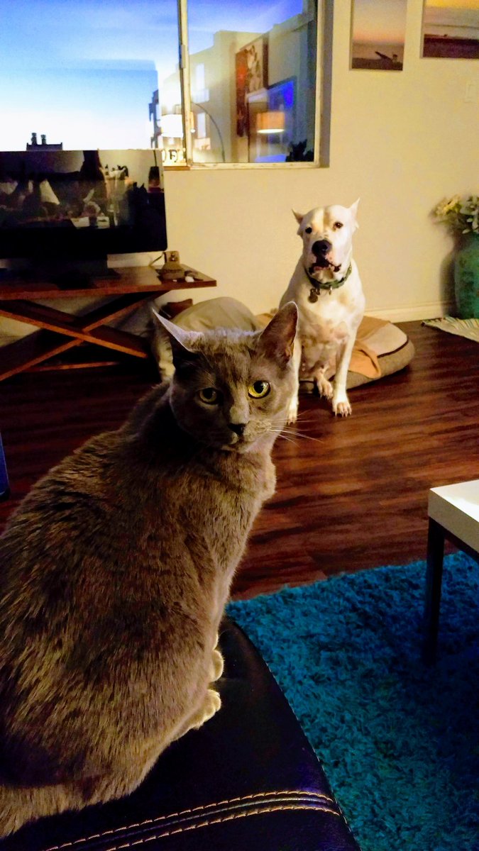 lunaluvsyou's tweet image. When is dinner?