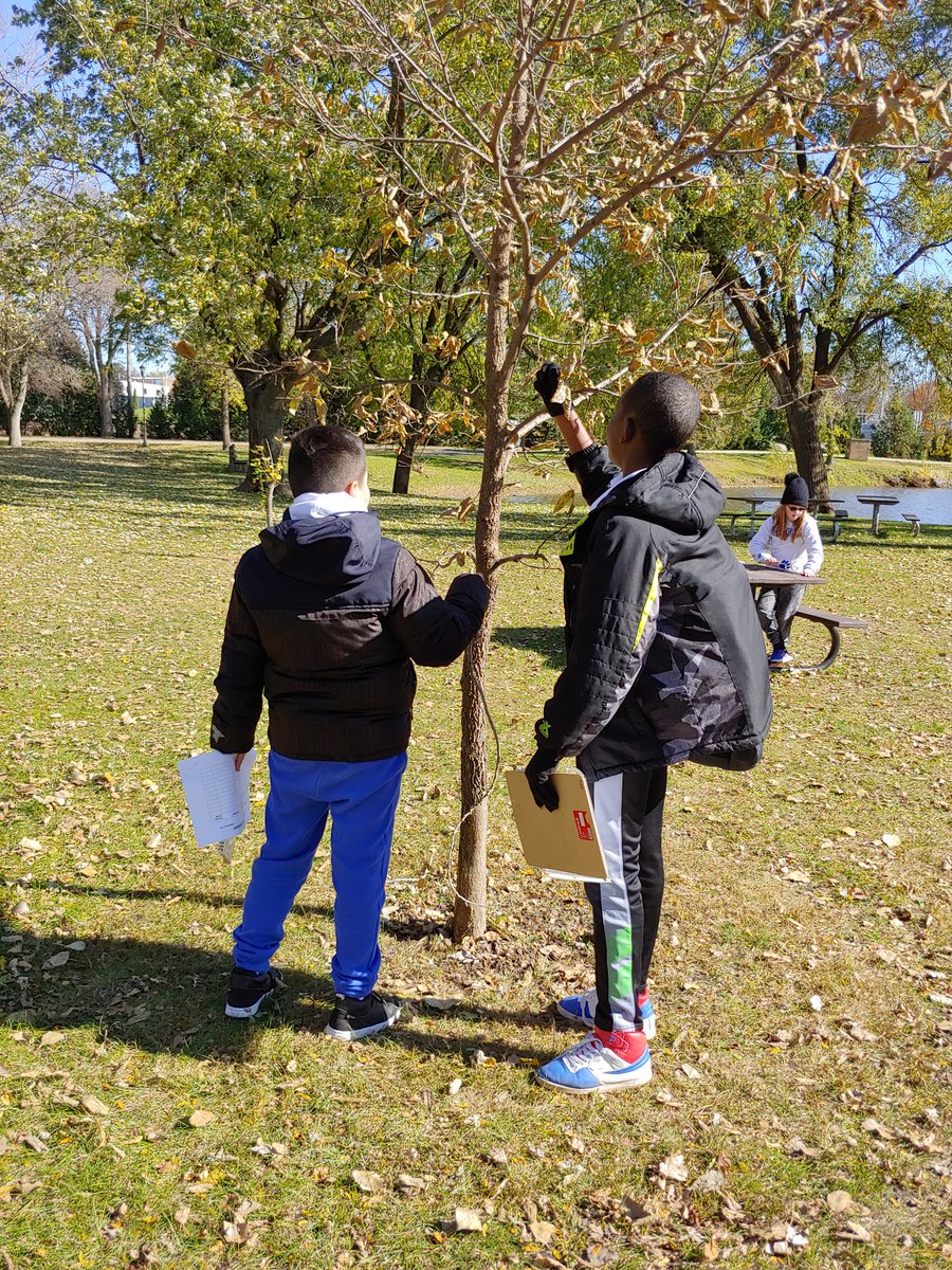 ELLgrandma's tweet photo. Outdoor learning is the best! Our 5th graders were learning about tree identification at this station.  Great day for learning about the world around us! #mckinleystrong https://t.co/OC2vUqkJdN