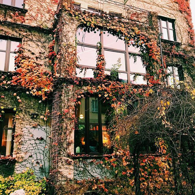 LoveStripesBlog's tweet photo. The house of autumn 🍂
.
.
.
#autumn #housesofinstagram #propertyporn #fall #fallfoliage #poland #krakow #visitpoland #visitkrakow #krakowpoland #travelphotography #travel #travelgram #travelblogger #instatravel #wanderlust #travelbug #autumnleaves #o… https://t.co/RwqdMs5MmM https://t.co/l8eYoJgcKj