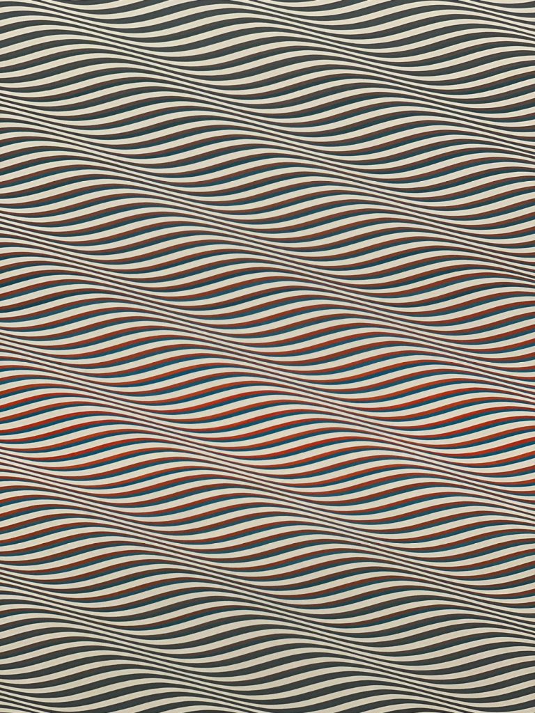 ARTZIP1's tweet photo. Lost in Bridget Riley’s magic world @haywardgallery until 26 Jan https://t.co/qCVUqzCtC8