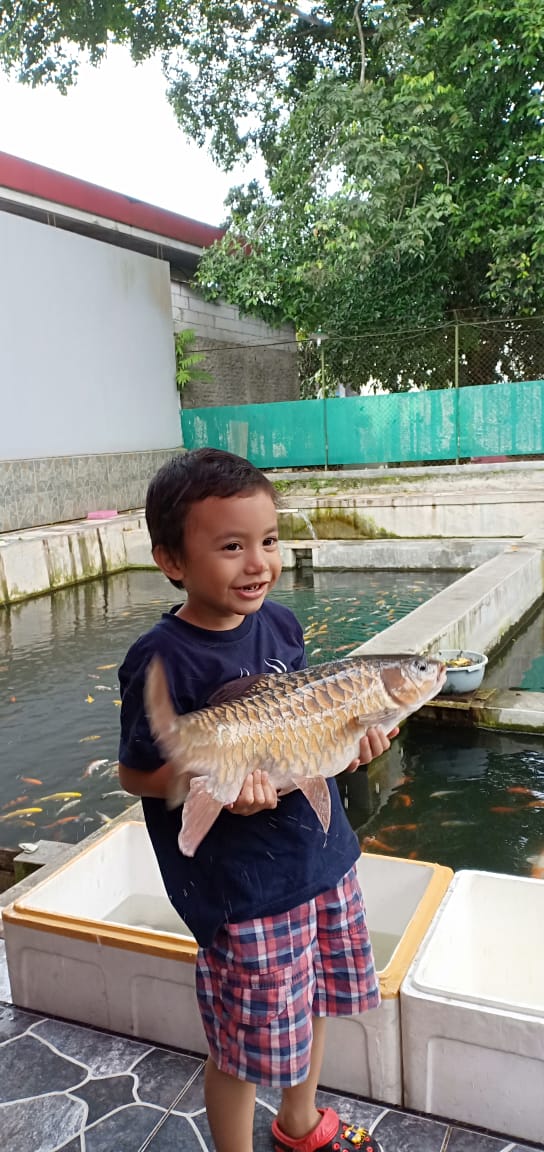 bppmhkpbandung's tweet photo. Dukungan @kkpgoid melalui BKIPM Bandung untuk rencana ekspor Java Salmon (mahseer fish)/Kelah agar pembudidaya semakin bergairah. 
CV. Pusaka Mahser Indonesia mulai membuka pasar Singapore.
@Edhy_Prabowo @rinajanwar2201 @HumasBKIPM https://t.co/iyYeKCfflL