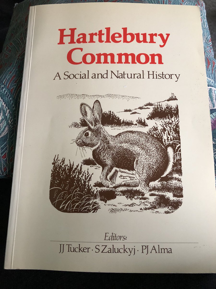 MsJayneH's tweet photo. First read 20 yrs ago as an undergrad text, re-read this week from the sickbed and learned so much more. Now inspired to pick up my own research again. https://t.co/T3Basw1lRx