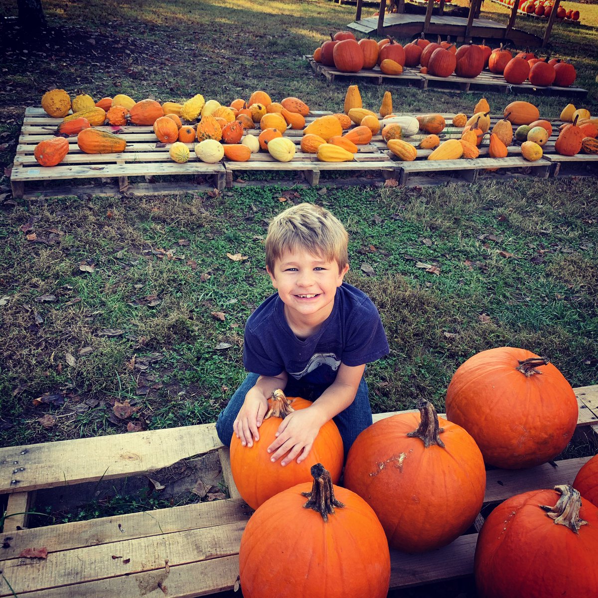 On this National Pumpkin Day, come get your pumpkins from JUMC!