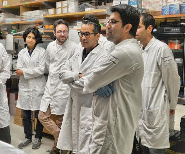 Working with the lab mates.