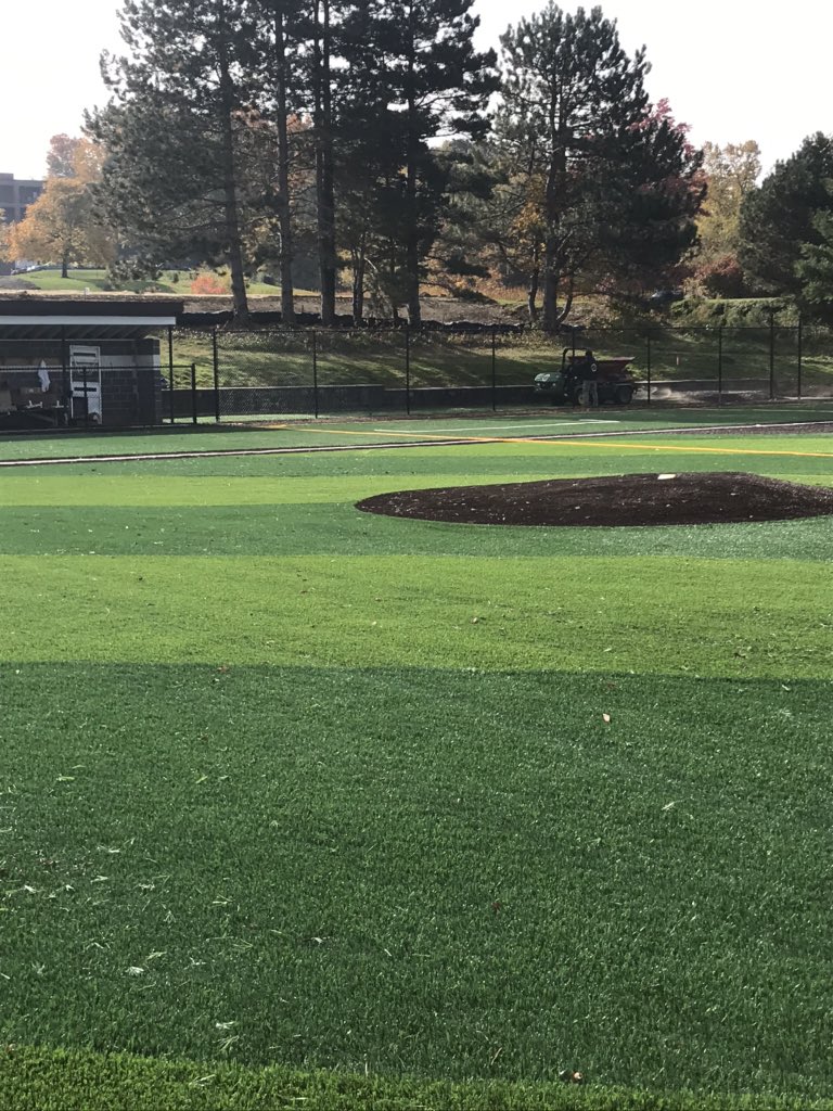 Mercyhurst Baseball tweet media