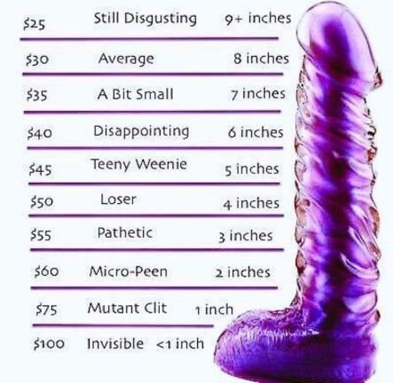 Ms_Vixen_'s tweet photo. DICK TAX SATURDAY!
Pay #Ms_Vixen_ the tax due on your pathetic pecker!
https://t.co/cPR3xudFOv

@dommes_rt @find0m @RT4MV @footeunuch @Geralt1232 @loneleyguy69xxx @mcs_promo @OddDoctor https://t.co/jhrpF8nmgk