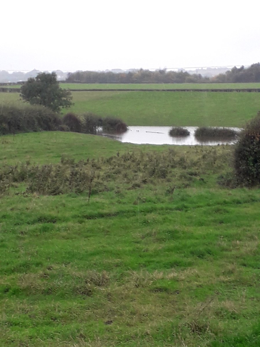 Quick break from campaigning to meet up with fantastic #Conservative candidate for #DenbyDale, <a href="/TimBamford1/">Tim Bamford</a>, to discuss genuine concerns about the increased flood risk in the area if the development of 190 houses in #Skelmanthorpe is given the green light by <a href="/KirkleesCouncil/">Kirklees Council</a>