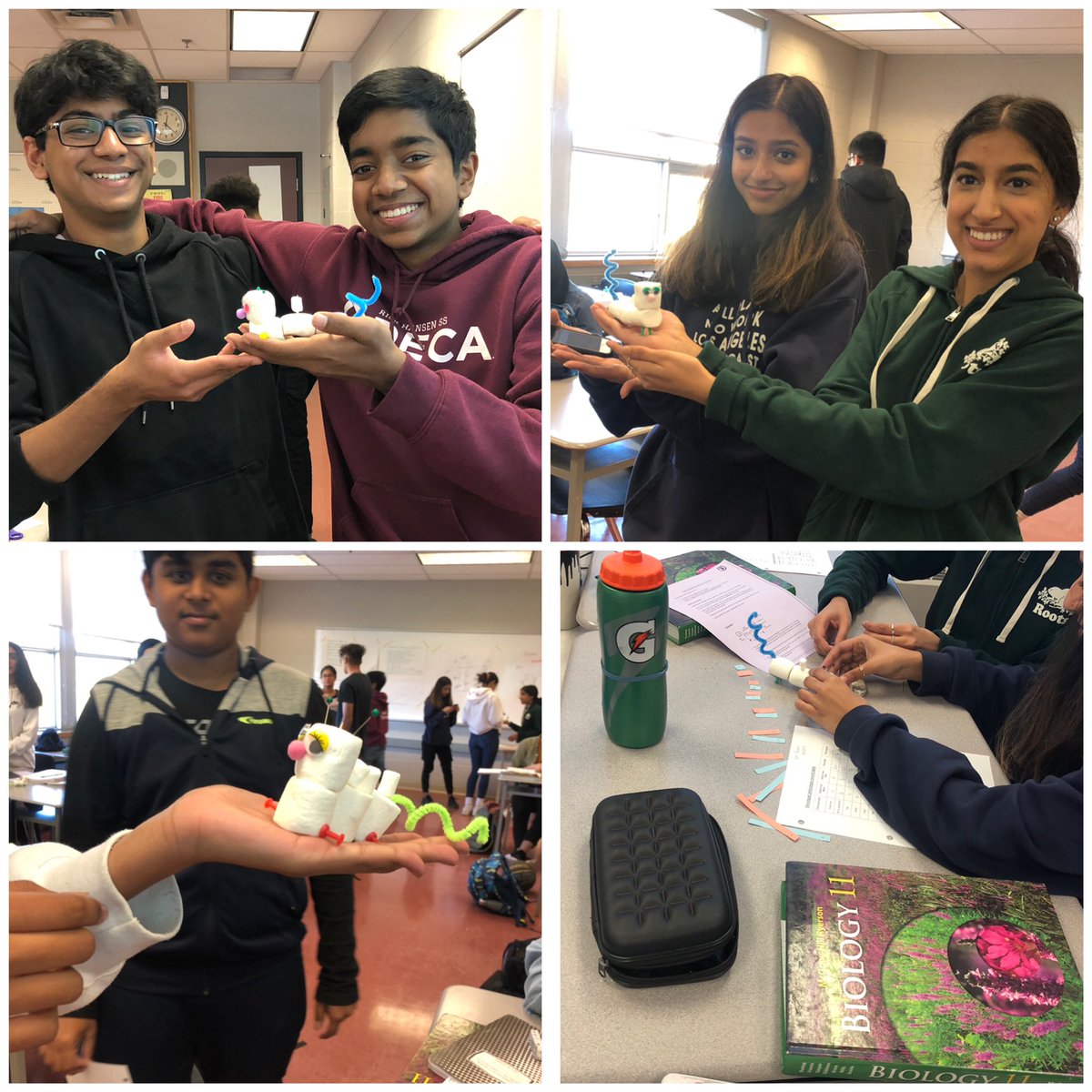 Later post: grade 11 bio students creating reebops by applying their knowledge in genetics and genetic variation #sciencefun