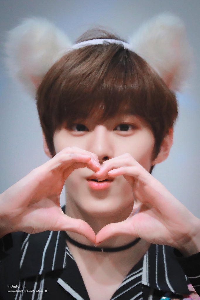 Lubby1119's tweet photo. 울짤랑애옹서기야생일너무축하해
#김우석의_생일을_짤랑해
머지답게맛있는거많이머겅
#HAPPY_WOOSEOK_DAY
행복한하루보내길바랄겡트윗폭주기관차HAPPYBIRTHDAY https://t.co/5RvBIC5bDj