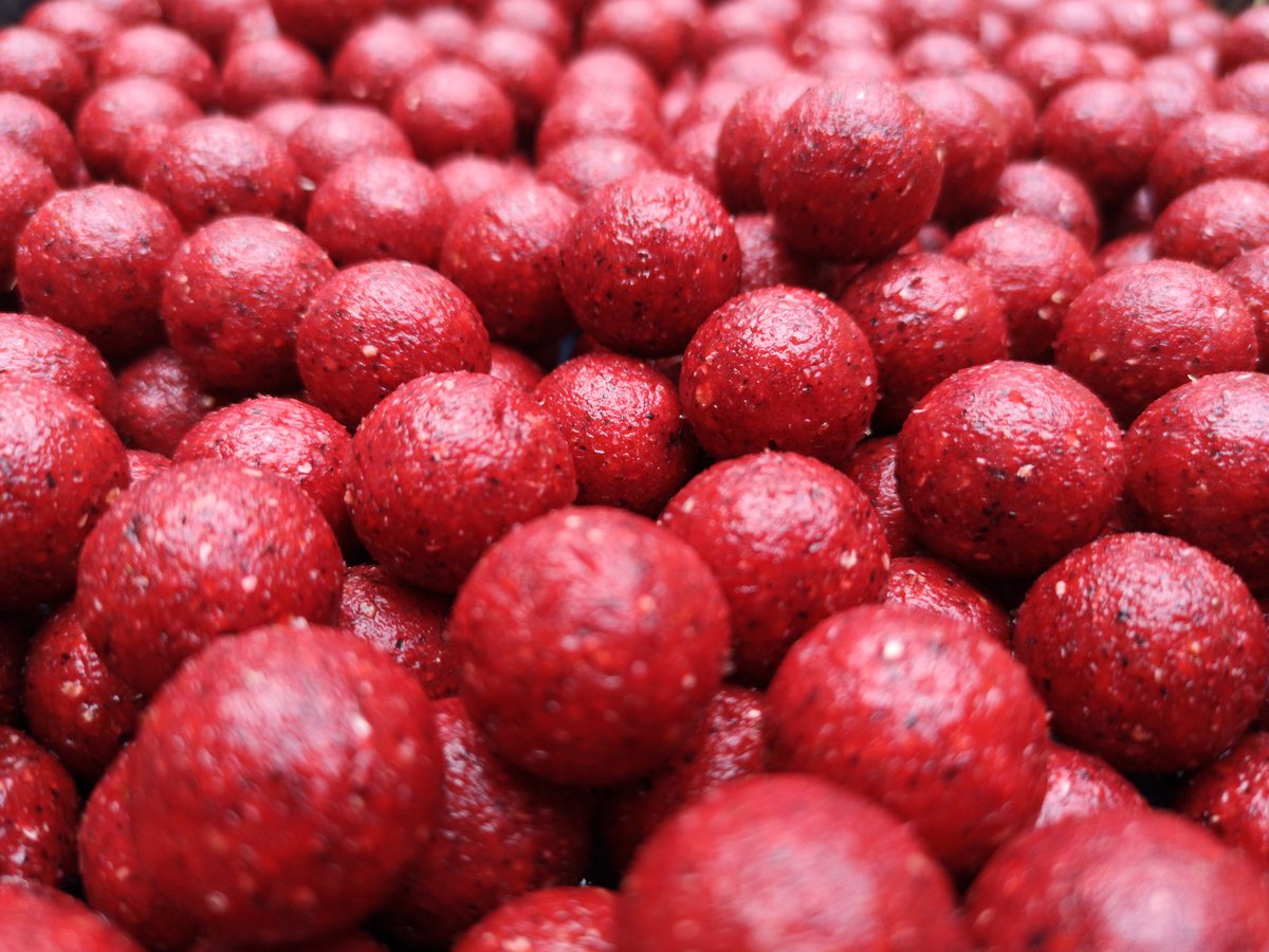 Crab &amp; Octopus #boilies #peralbaits #BOILIES100X100NATURALES