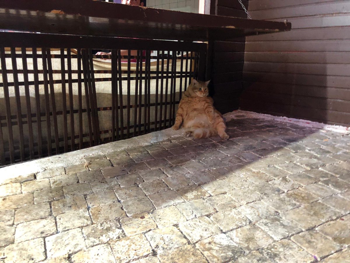 Özendiğim hayatı yaşamakla meşgul