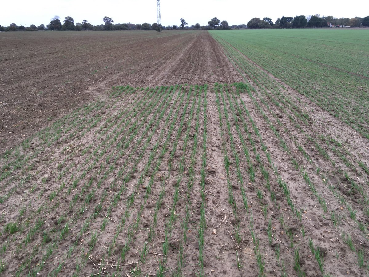 Guy Smith tweet media