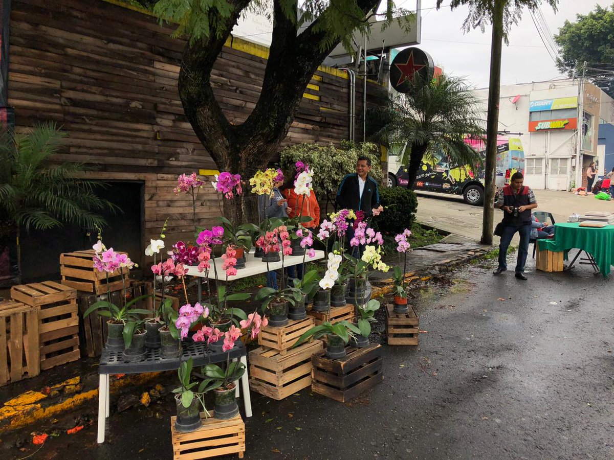 CuernavacaGob's tweet photo. Esta mañana iniciamos el Festival #TradiciónEsCuernavaca, en el corredor turístico y económico de #RíoMayo.
#TradiciónEsCuernavaca #JuntosHacemosCuernavaca #RespiraCuernavaca #Salud #VivaCuerna #VisitaCuerna #VenaCuerna #EligeCuerna #ViveCuerna #diademuertos #Cuernavaca https://t.co/sZud6rIIcV