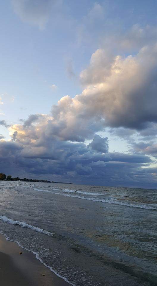 RareCat's tweet photo. @Trapper51 Good day to you my brother.
#BeautifulFallWeather
Saturday salutations to all.
#HABD https://t.co/oQy0weH0oT