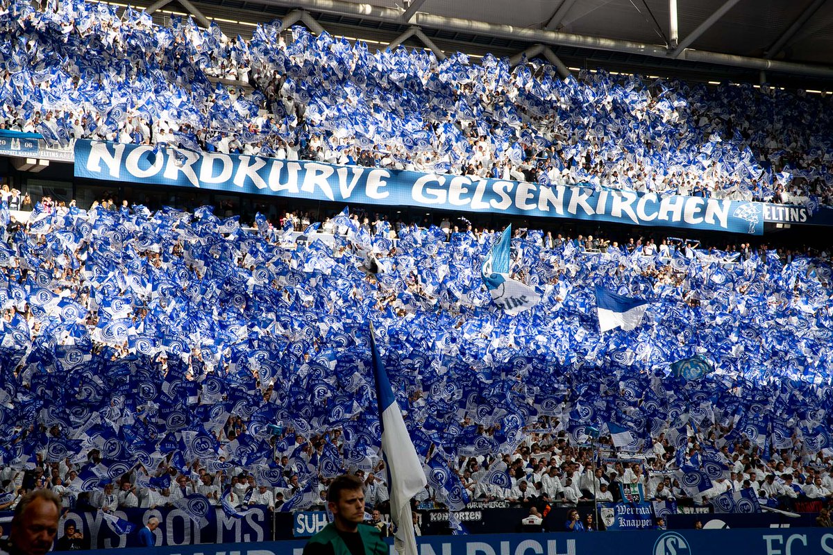 FC Schalke 04 tweet media
