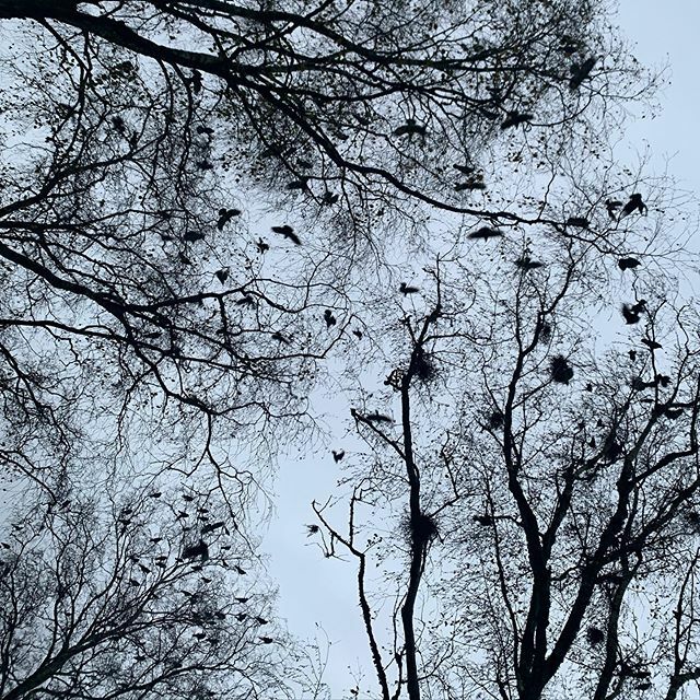 ift.tt/2MP74PS Flensburg. Ohne Filter.