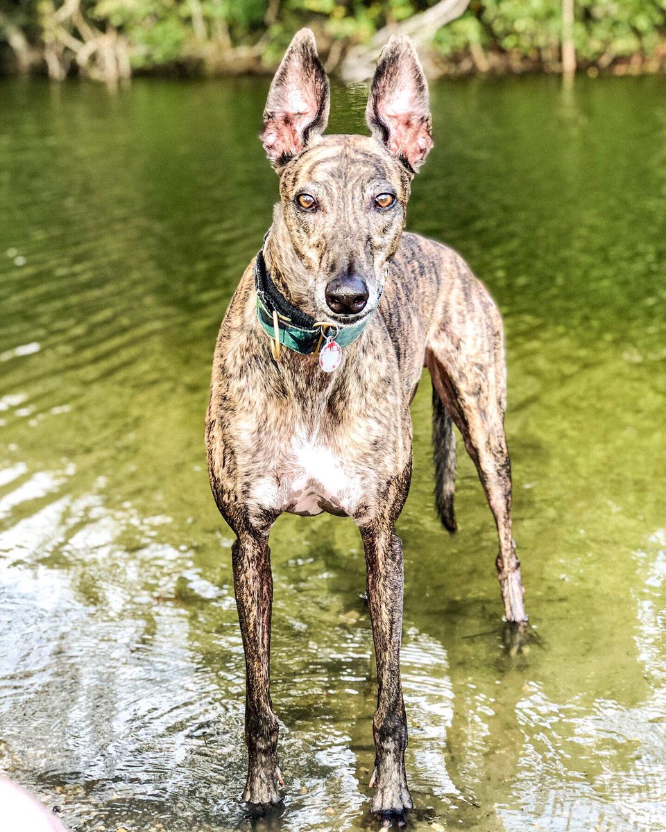KevinTheGreyt's tweet photo. it is official. i am a water boi now. I wuz getting a gud soak! https://t.co/lxwhebVD9d