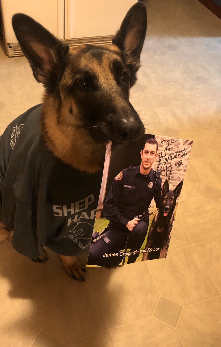 This man is getting famous! A signed picture from Lor and a Shep shirt. I wonder what else he can get? @JamesCraigmyle @PascoSheriff @SheriffChody @Bill_Burt_409 @MikeMuscutt @marklaureano989 @dmoreno274