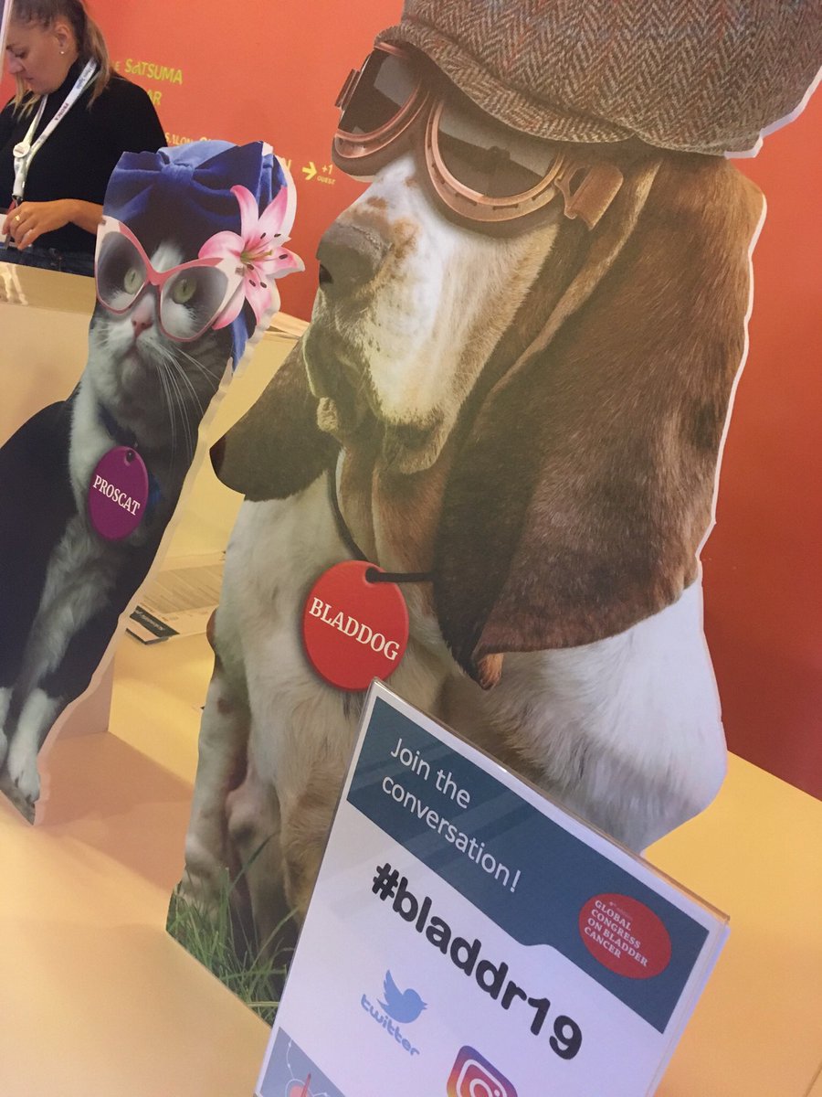 els_dewulf's tweet photo. Back home after a successfull #bladdr19 Reunited again with #bladdog https://t.co/JwnQhbYBp5
