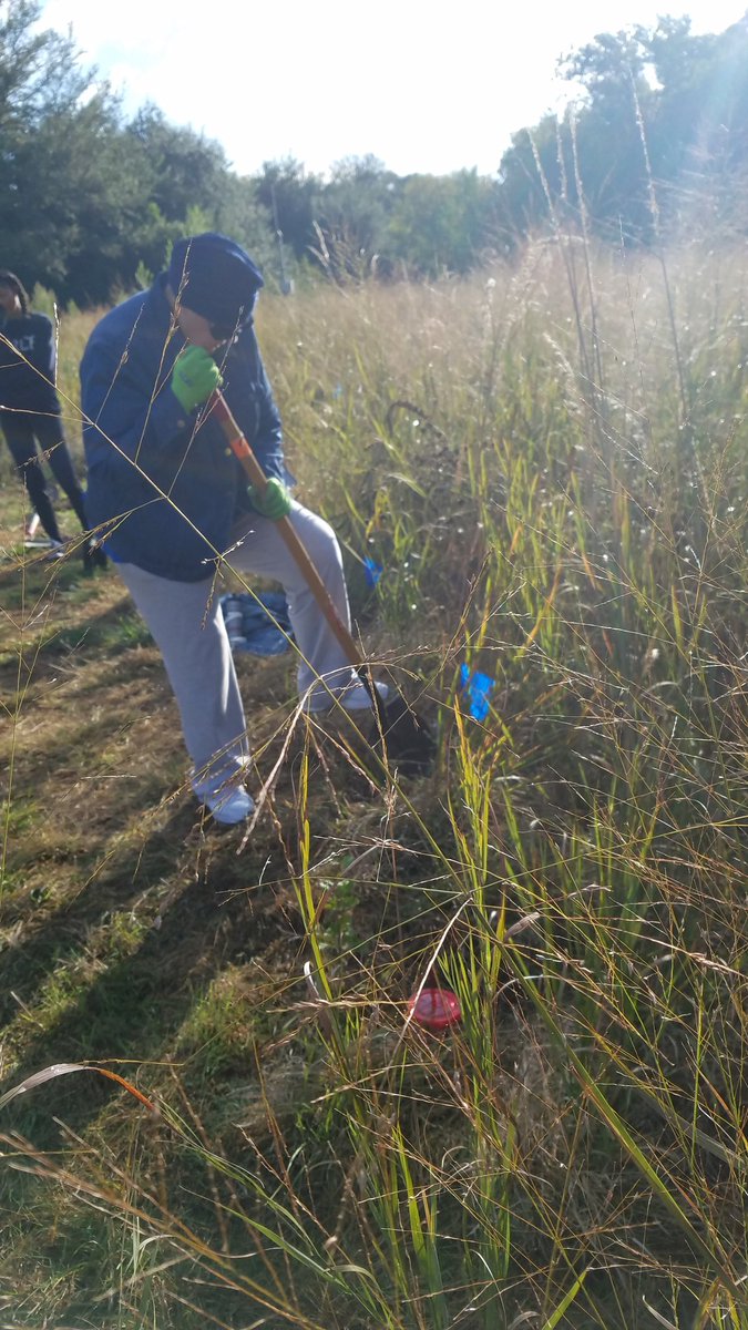 MollyCorbinDAR's tweet photo. Working a butterfly habitat in Grapevine this morning! #txdar #mollycorbindar https://t.co/twYzqwglhN