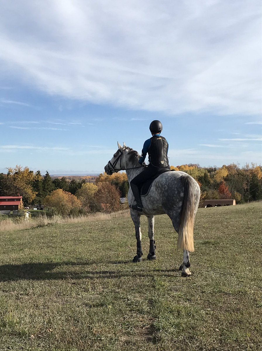 bronwynnewilton's tweet photo. Beautiful morning to enjoy #rural Ontario with these three! #horsesaregoodforkids #letsgoeventing https://t.co/3tZvC22Wkt