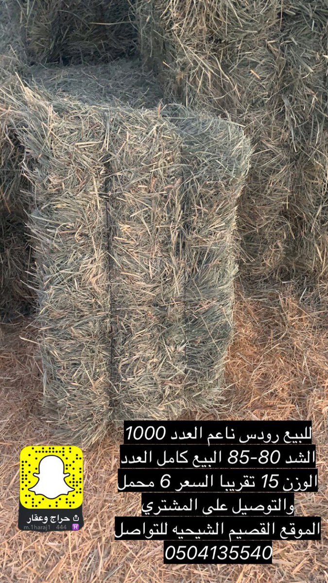للبيع رودس ناعم العدد 1000
الشد 80-85 البيع كامل العدد
الوزن 15 تقريبا السعر 6 محمل
والتوصيل على المشتري
الموقع القصيم الشيحيه للتواصل 
0504135540

 #الاهلي_الحزم #سباق_الألوان #حراج #اعلاف #رودس #القصيم #الرياض