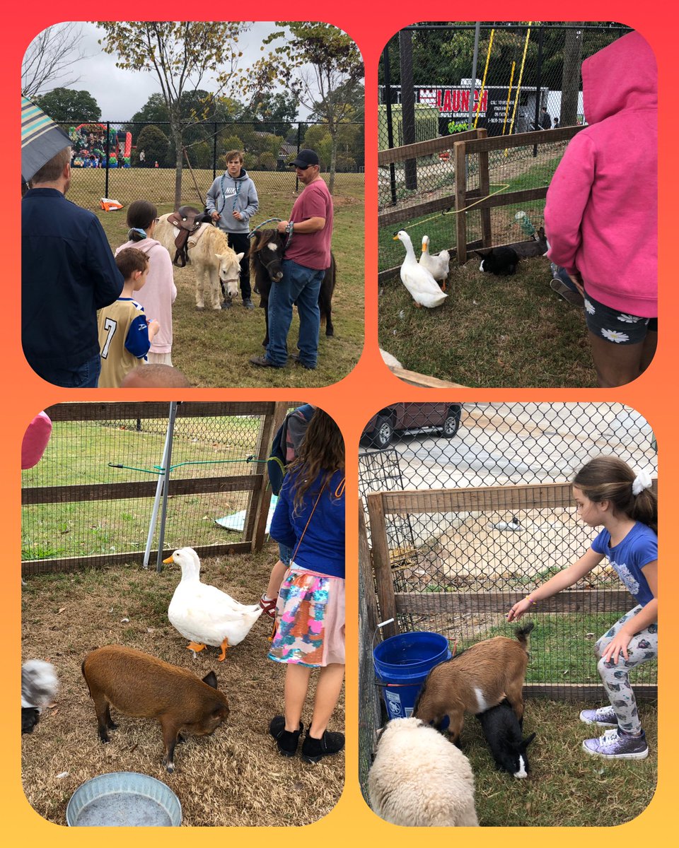 ttanesha74's tweet photo. Jackson Cluster’s Kiddos loved the petting the animals @King_Jaguars Fall Festival #CommitToKing @pwbrownKMS @DrEmilyAMassey https://t.co/7CI3dkmnhe