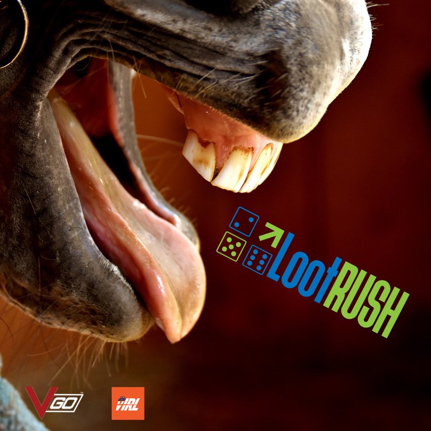 LootRUSH's tweet photo. LootRUSH is a new VGO/vIRL casino site featuring pvp jackpot game. Follow us to find out the launch date!
#vgo #vIRL #vgoskins #opskins #cryptowax #vgo casino #vIRLcasino #lootrush #skins #skingambling #virlgambling https://t.co/FzkAvJCvvb
