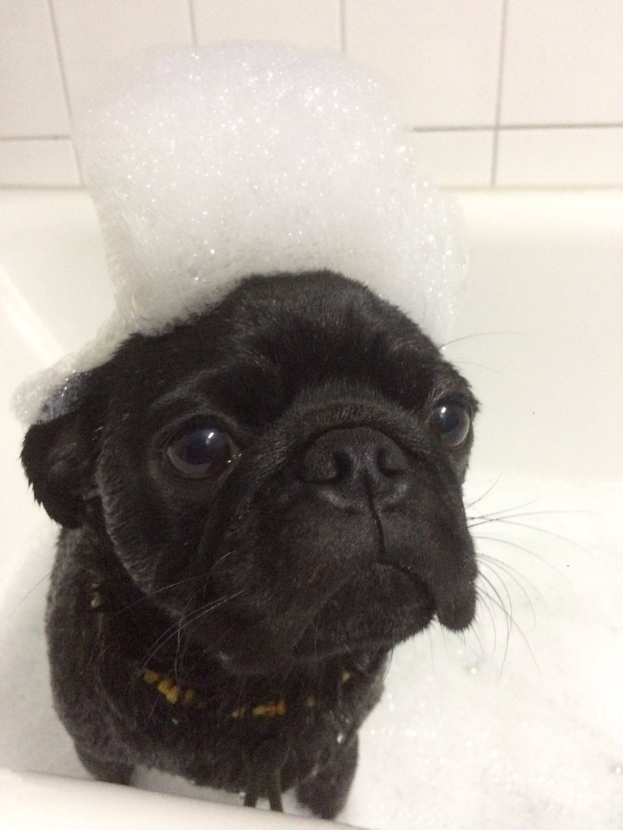 Ich liebe Schaum über alles (außer Sand😉)