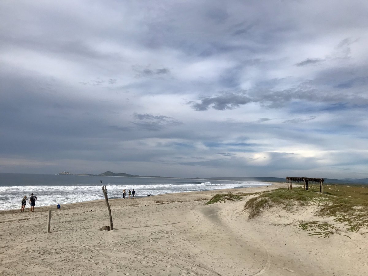 sergededina's tweet photo. Release olive ridley sea turtle hatchlings in Oaxaca with @WILDCOAST @CONANP_mx !!! What a great conservation success story!!! https://t.co/z5mu9Bf92Q