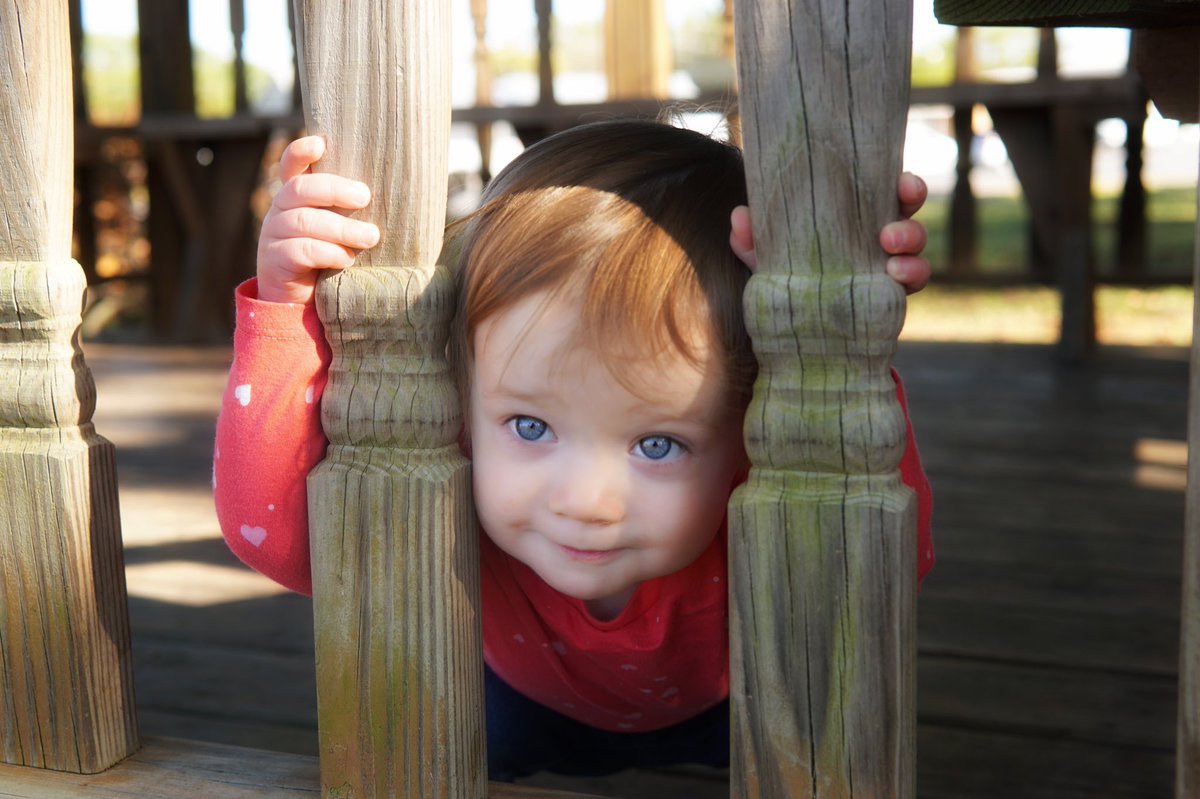 Heritage_PhysEd's tweet photo. Fun fall photos! #reedmichael #skylargrace https://t.co/0XcSXke1pk