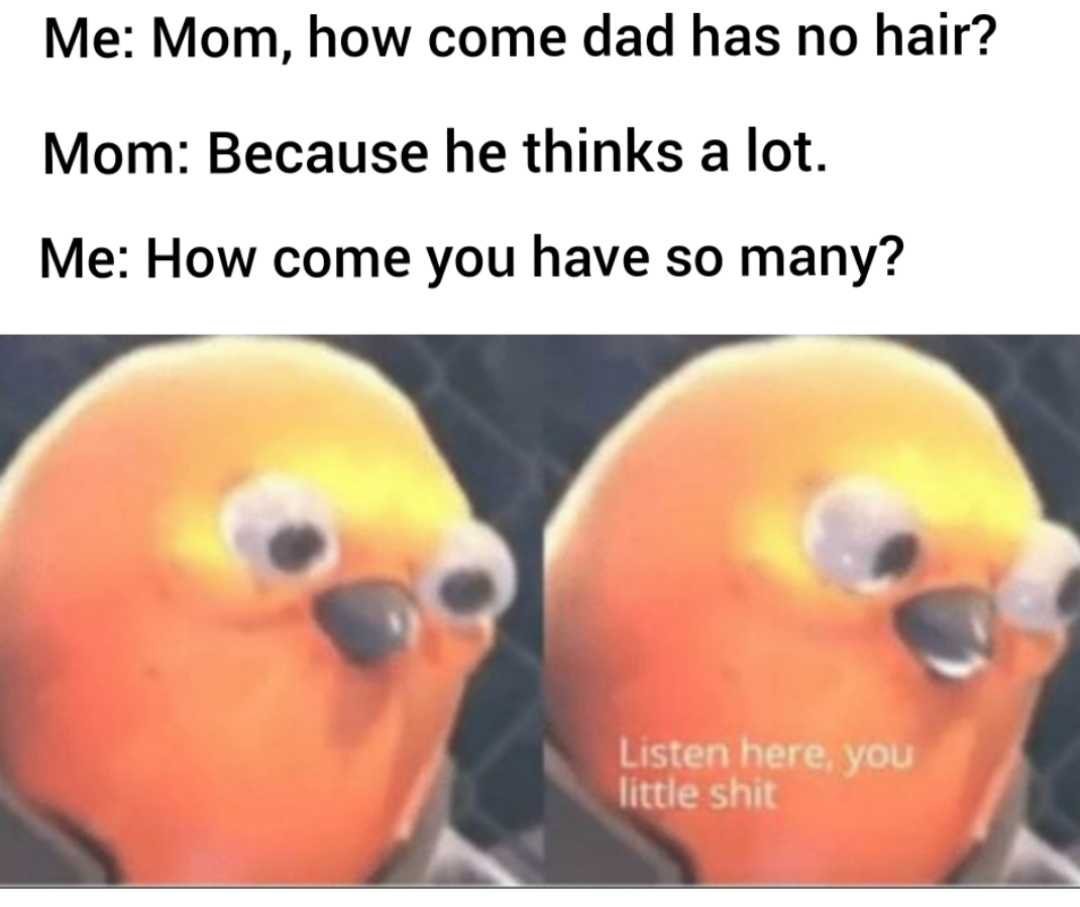 memeadikt's tweet photo. Good question https://t.co/CHd2rxG2UU