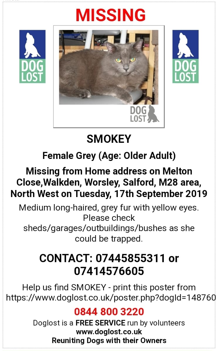 When your chipped/spayed cat is missing, EVERY DAY is #Caturday.

#FindSmokey #missingpetsUK @CatsMissing @WhiteCrossVets @MissingPetsGB @ukanimals @PetsLocated @lostcatsengland  @DoglostUK
