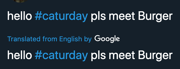 "hello #caturday pls meet Burger"

<translated from english by google>

"hello #caturday pls meet Burger"