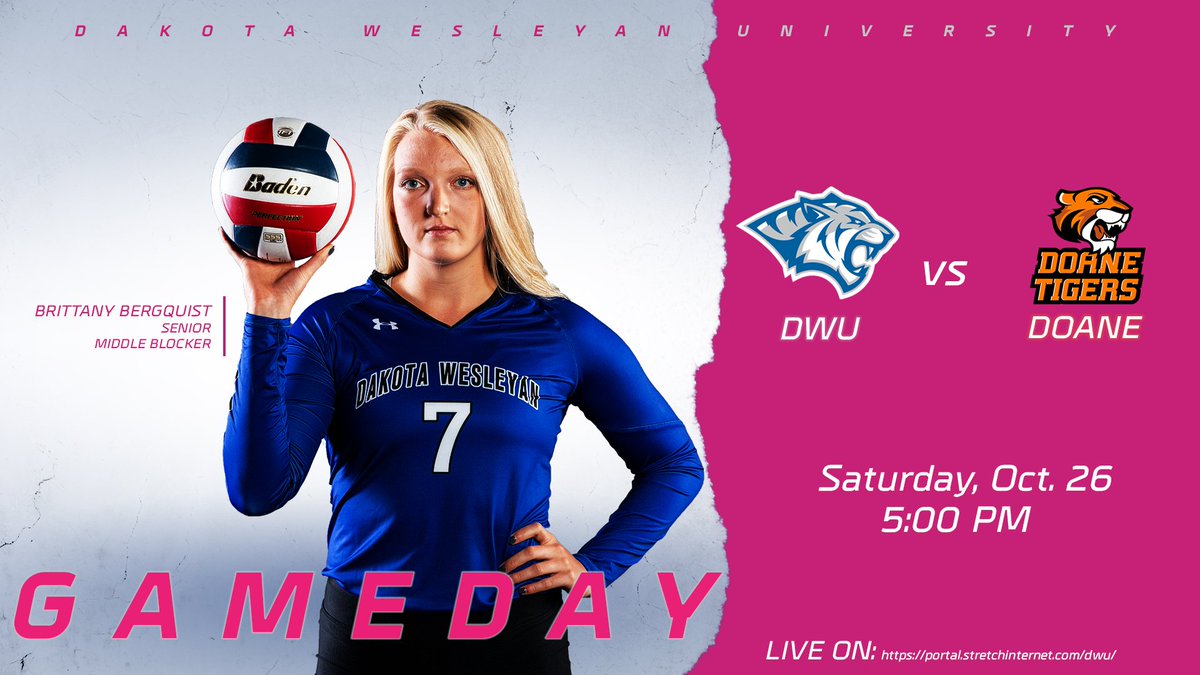 dwtigers's tweet photo. DIG PINK NIGHT🏐

The DWU volleyball team hosts Doane University for their annual Dig Pink Match!

📺📈https://t.co/PqOJ7N1Fny
⌚️5 PM
📍Christen Family Athletic Center

#EarnYourStripes #BleedBlue https://t.co/m5ExjZHtsW