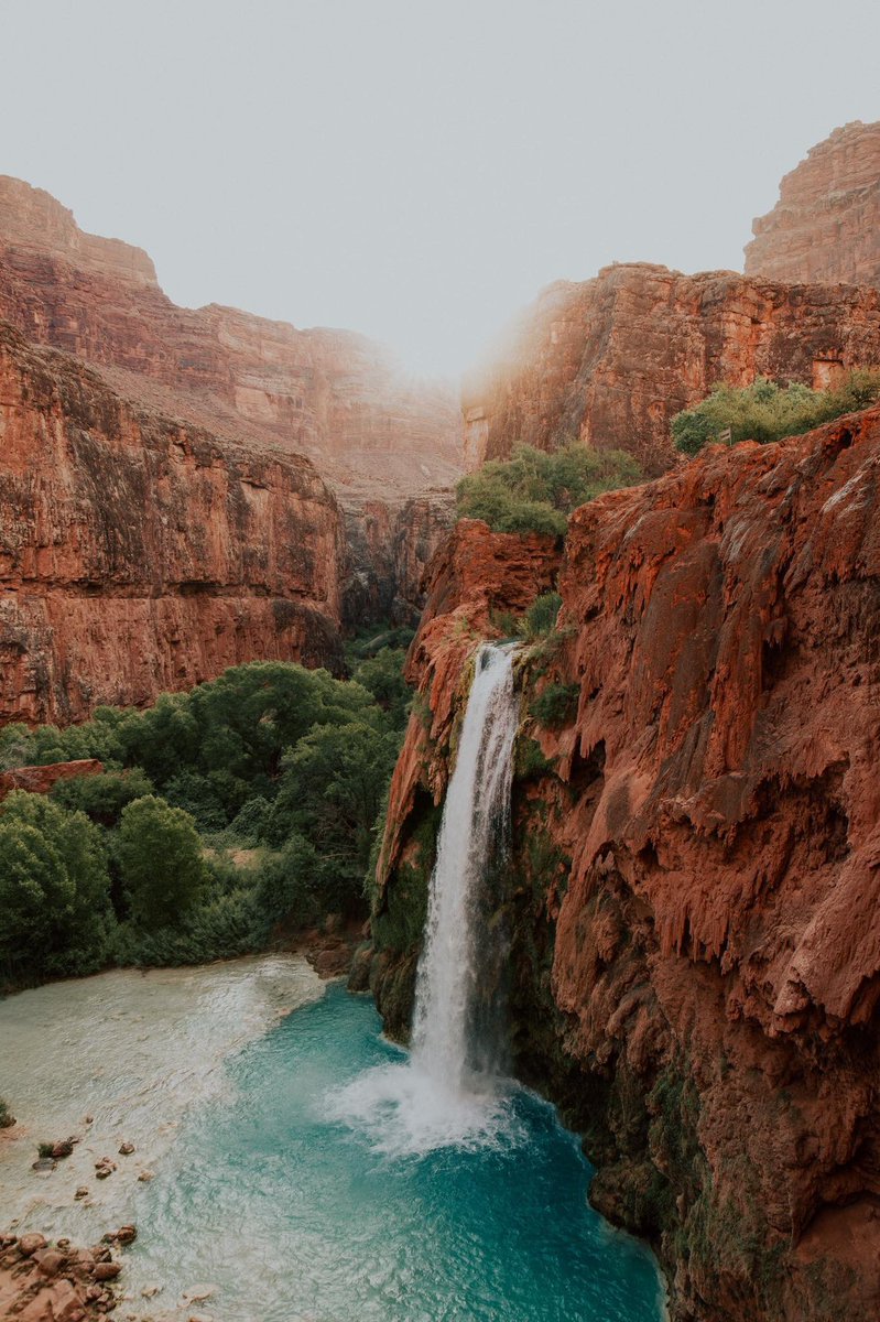 _brendenw's tweet photo. Havasu Falls https://t.co/5UYY3I4lzN