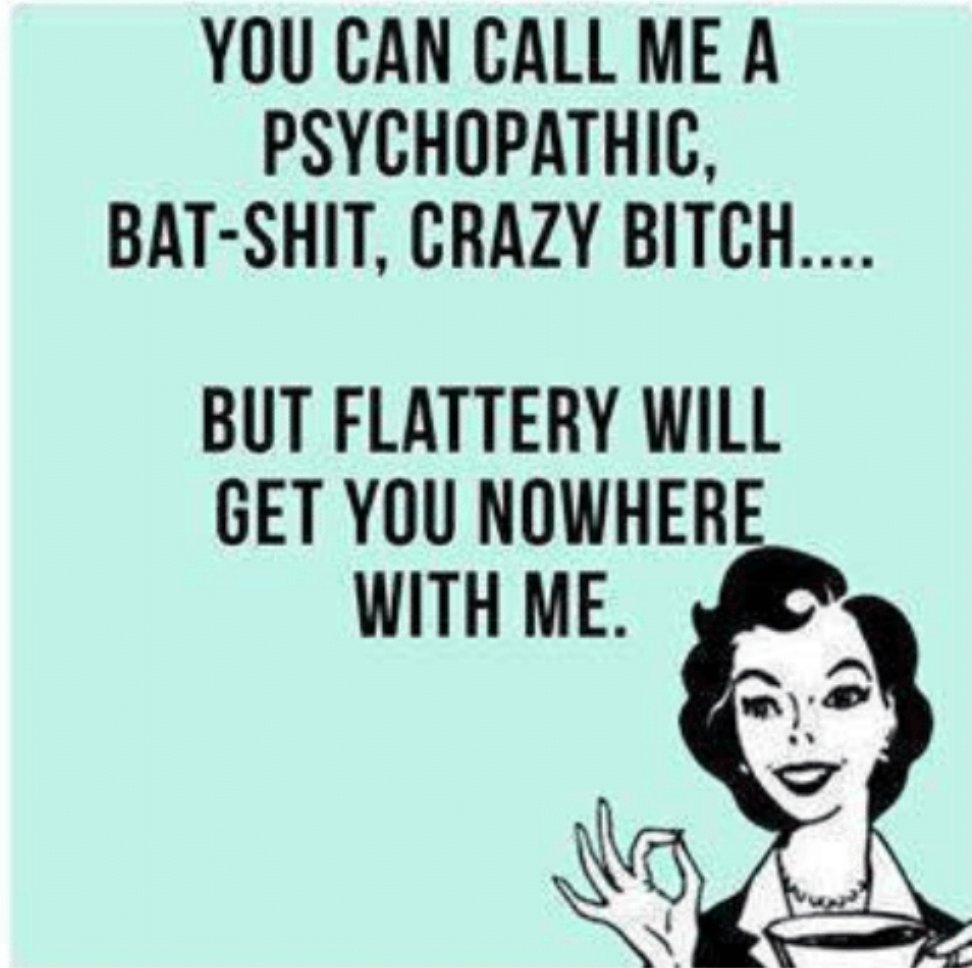 _MetisRelations's tweet photo. @SheilaGunnReid @Wunfeather Teehee, pretty much me!
When it comes to @Wunfeather https://t.co/ZSU1Dp1xkt