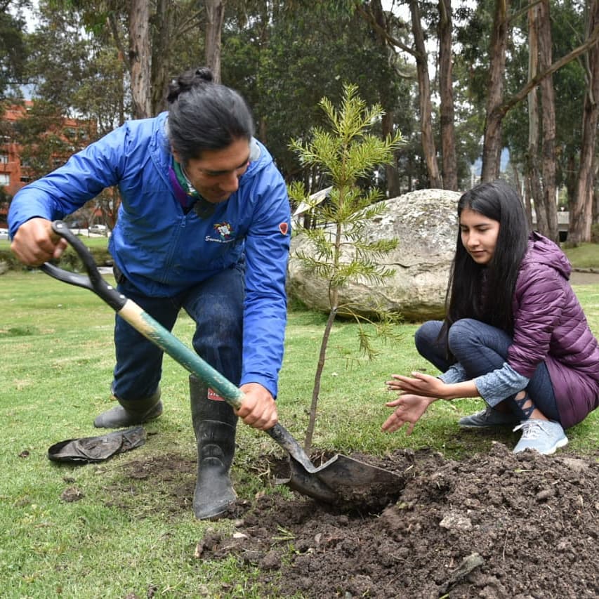 yakuperezg's tweet photo. Con mi retoñita Ñusta sembramos un árbol en honor a mi compañera Verito Cevallos, aunque ya no está en esta tierra, pero si en nuestro shunko. https://t.co/er69WaHA7o