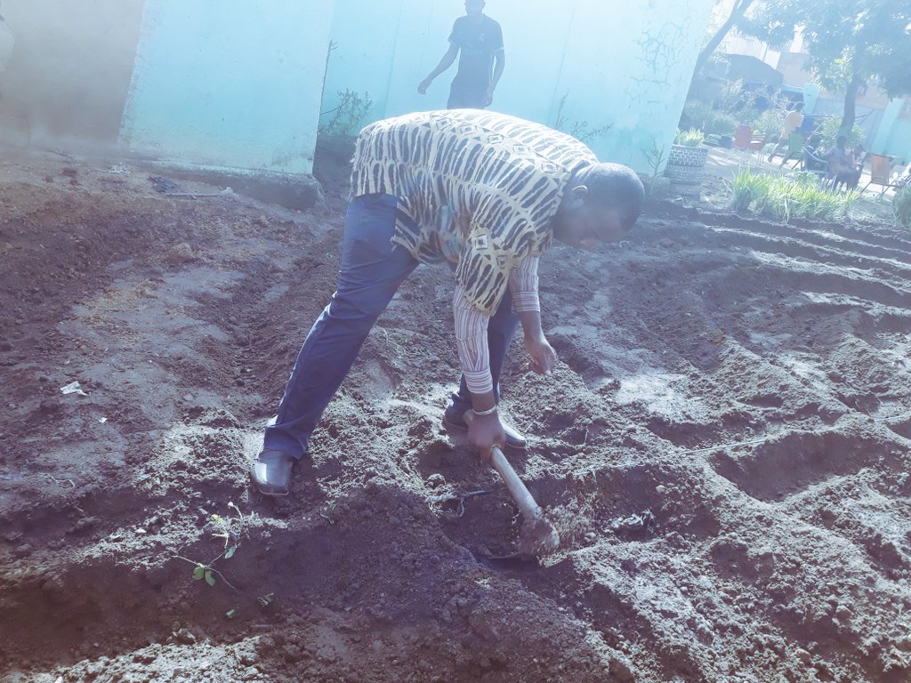 AmsdOng's tweet photo. Nouvelle saison d amenagement  pour le jardin bio de l association AMSD : Agroecologie, agriculture biologique et permaculture pour le climat , la santé et la biodiversite. Notre objectifs c'est d'accompagner la transition énergique et écologique des producteurs. https://t.co/wVxZaUsEBo