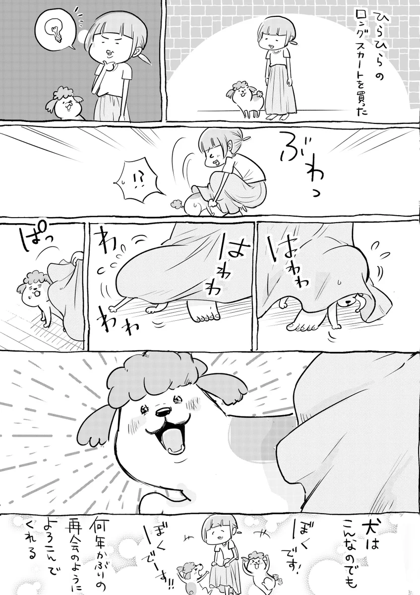 犬と猫では衣替えの季節の反応も全然違って楽しいww