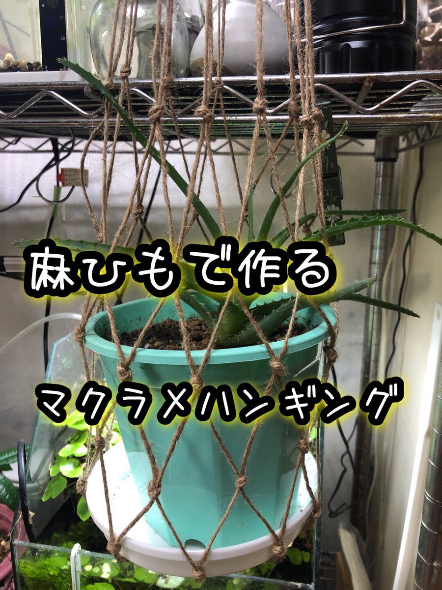 Morie パラ コードで の首輪やリードを作成 趣味 やコーギーと子猫の動画を配信中 麻ひもで作るマクラメ ハンギング プラントホルダー の作り方 T Co E99h4ptnpm Youtubeより マクラメハンギング プラントホルダー